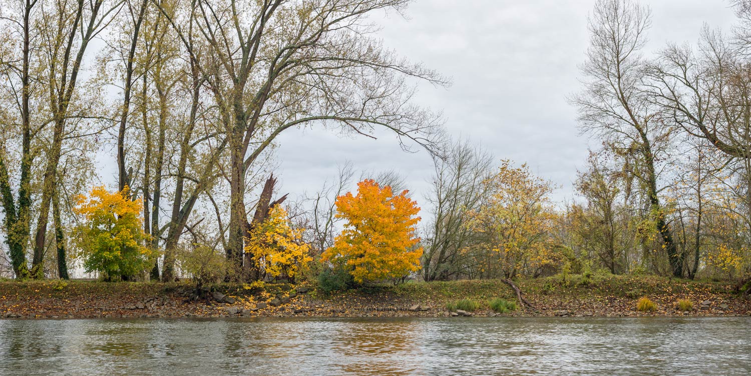 The Loire autumn on an island in the middle