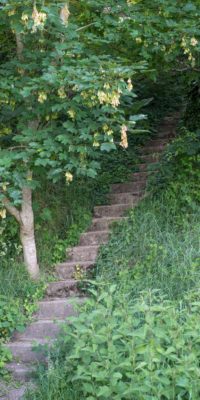 Escalier au bord du chemin de halage