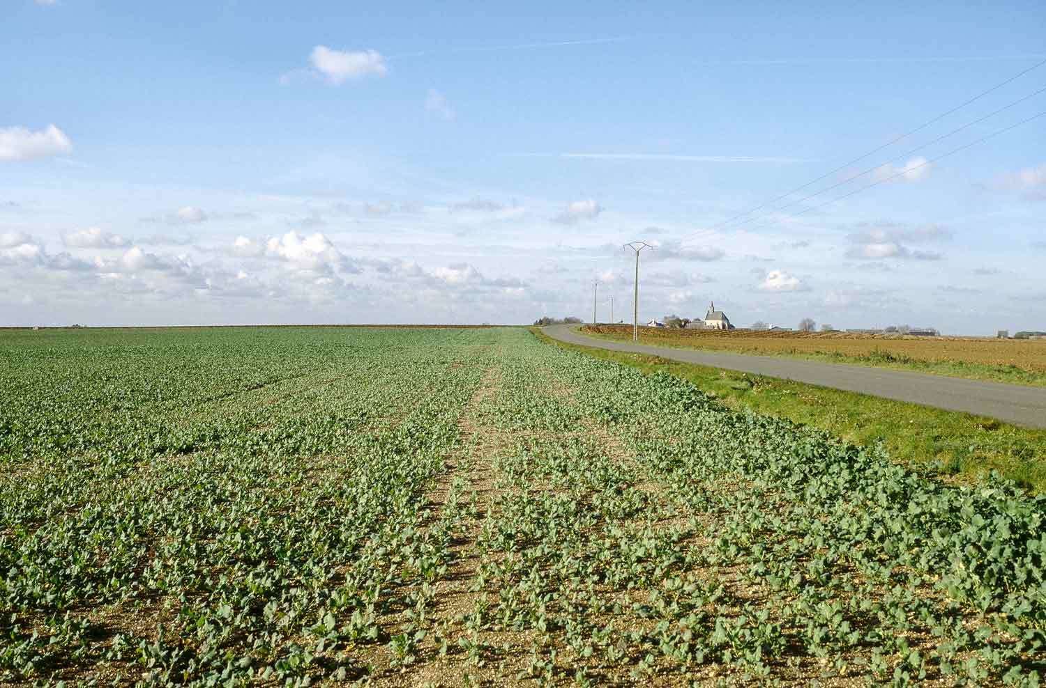 Village of Beauce Huêtre in the foreground rapeseed Loiret